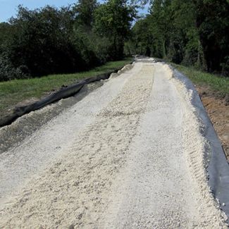 Protection des racines pour le chemin