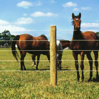 Clôture en fil de fer pour chevaux