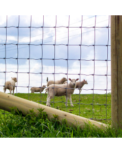 Escrime pour bétail et agneau