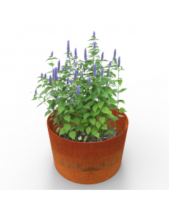 Jardinières sans fond fabriquées en acier britannique et laissées aux intempéries