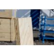 18mm Plyboard