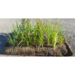 Coir Pallets & Sods