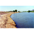 Coir Pallets & Sods