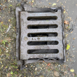 Biodegradable Drain Guard