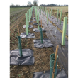Tree Mats