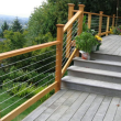 Horse Wire Fencing