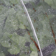 Insect Mesh Netting