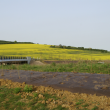 Biodegradable Weed Control Membrane