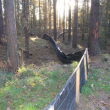Snake Fence