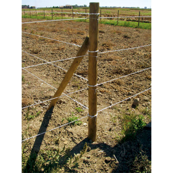 Horse Wire Fencing