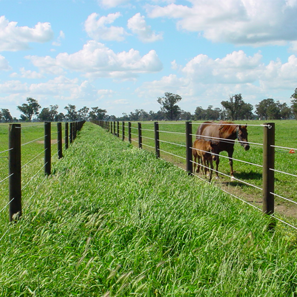 Horse Wire Fencing