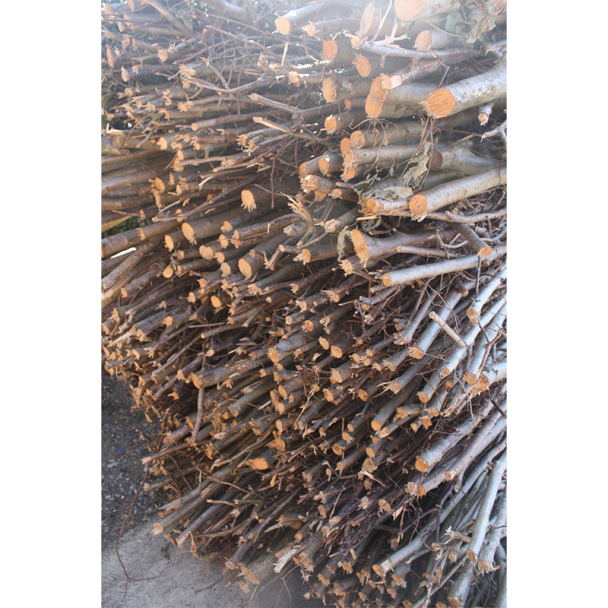 Brushwood Faggots