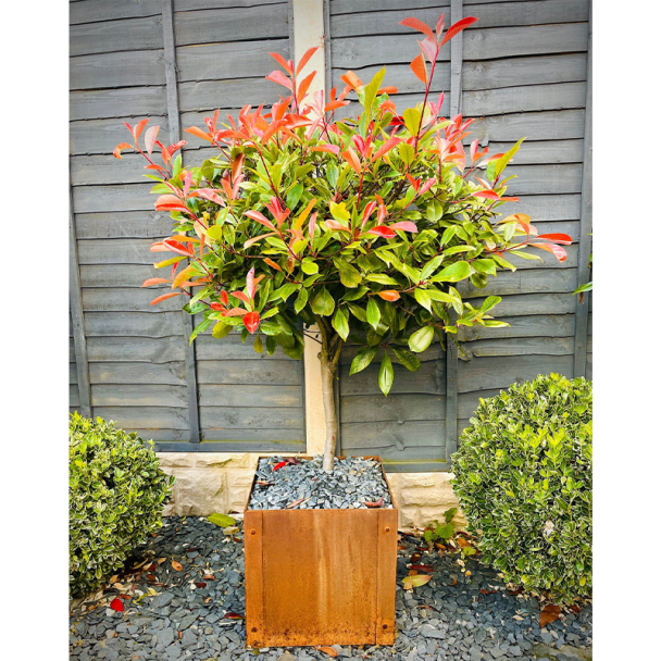 Flat Pack Square Planter