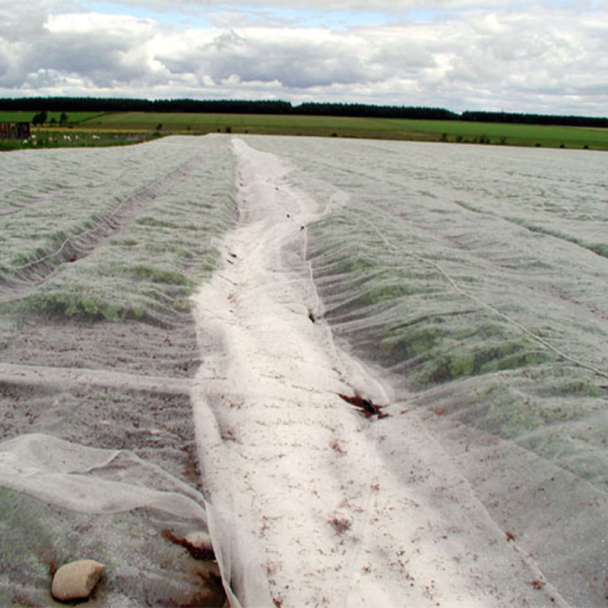 Insect Mesh Netting