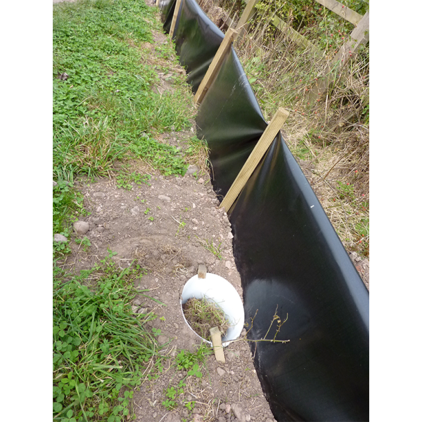 Pitfall Trap