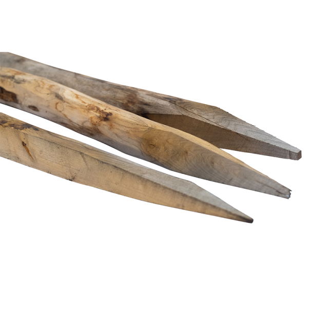 Chestnut Post