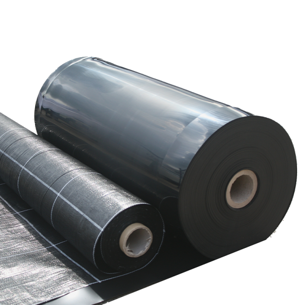 Snake Fence