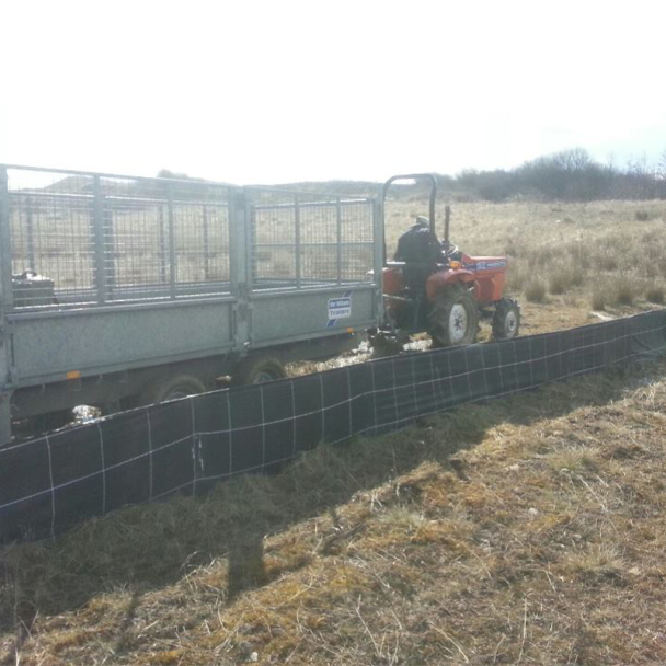 Snake Fence