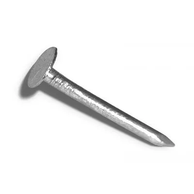 Clous à tête large galvanisés