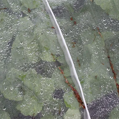 Filet Anti-Insectes pour Serres