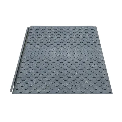 Tapis de Passage pour Piétons Tapis de Passage pour Piétons